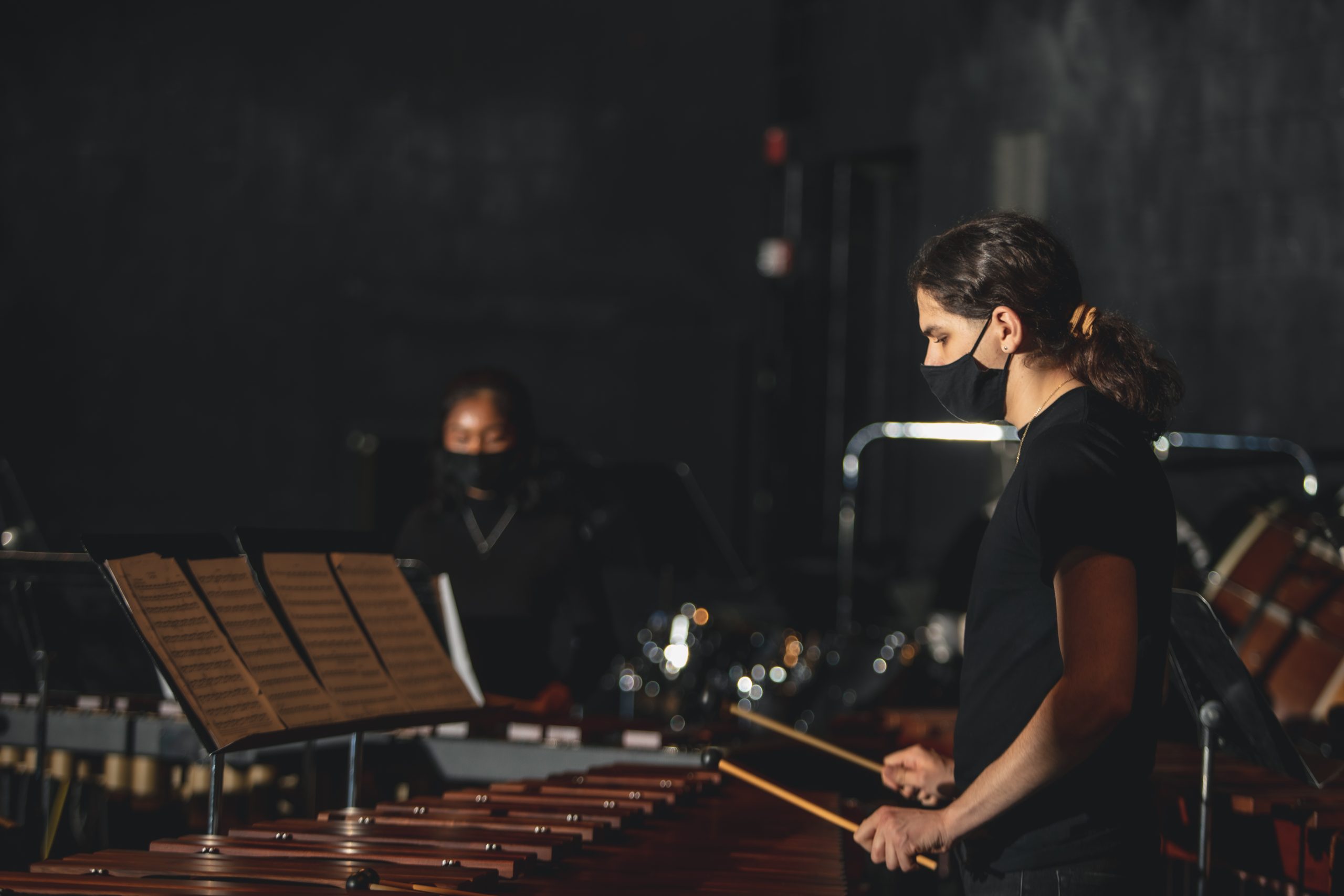 ARTS & ARCHITECTURE :: MUSIC :: PERCUSSION INSTRUMENTS [1] image